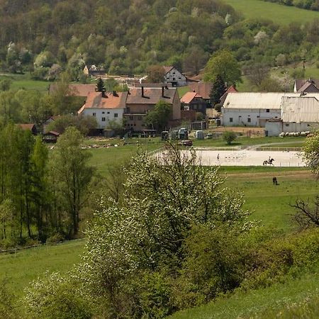 Ubytovani V Apartmanu, 2 Loznice, Na Farme Bzany Exterior foto