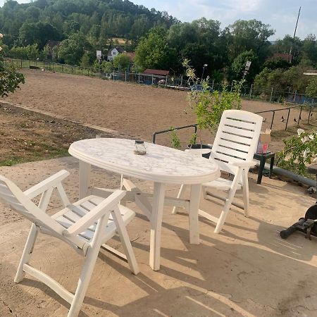 Ubytovani V Apartmanu, 2 Loznice, Na Farme Bzany Exterior foto