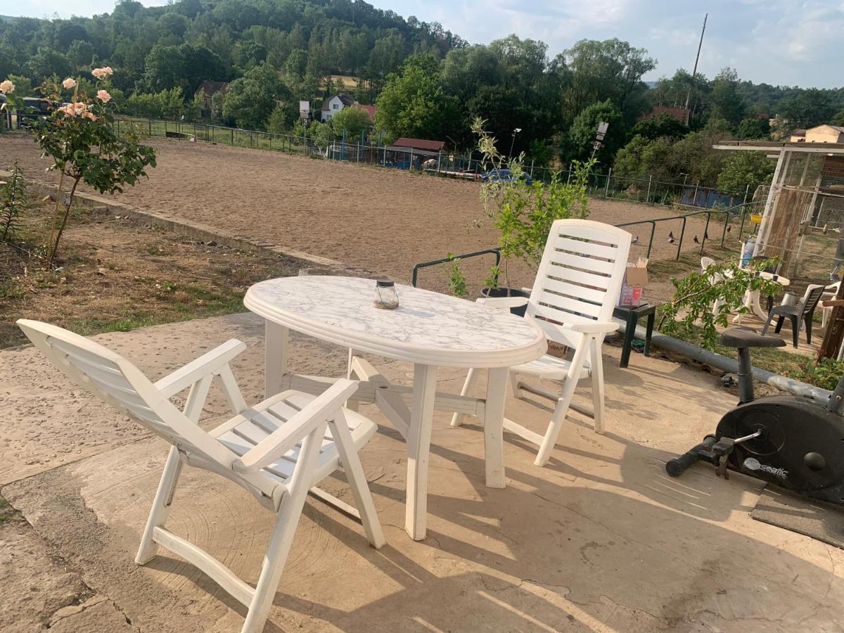 Ubytovani V Apartmanu, 2 Loznice, Na Farme Bzany Exterior foto